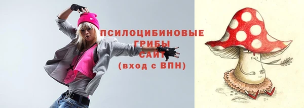ПСИЛОЦИБИНОВЫЕ ГРИБЫ Кулебаки