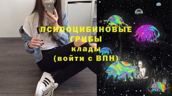 трава Корсаков