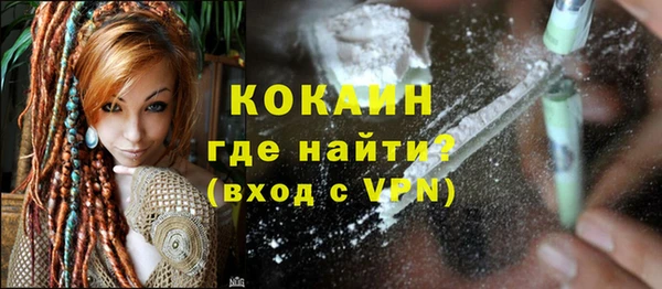 ПСИЛОЦИБИНОВЫЕ ГРИБЫ Кулебаки