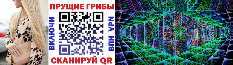 Галлюциногенные грибы Psilocybine cubensis hydra зеркало Курлово