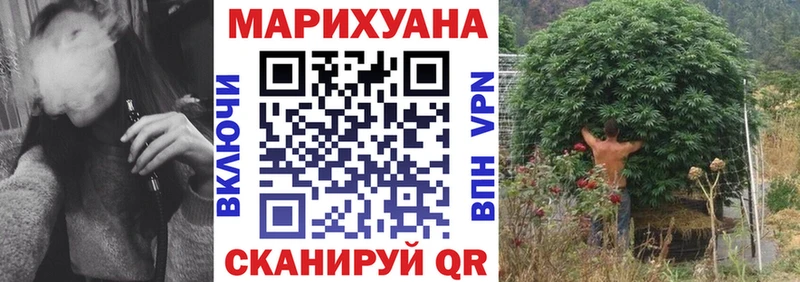 где можно купить   Курлово  Каннабис индика 